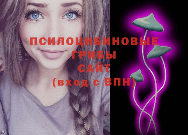 ECSTASY Володарск